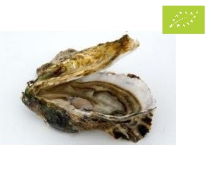 organic oyster hong kong M&C Asia
