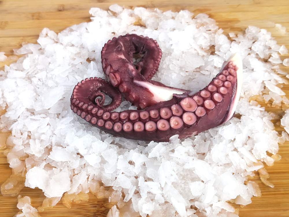 Frozen Cooked Octopus Tentacle