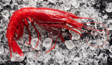 Why Are Carabineros So Expensive?