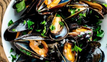All You Need to Know About Mussels 