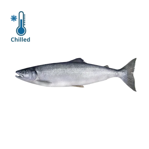 Whole Scottish Salmon
